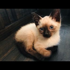 Meet your Posher, Claudette